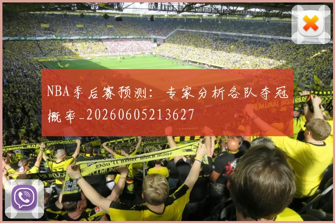 NBA季后赛预测:专家分析各队夺冠概率_20260605213627